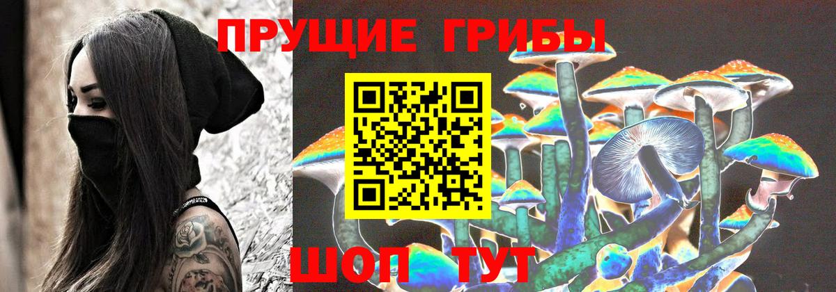 Галлюциногенные грибы прущие грибы  Вход с VPN  Геленджик 